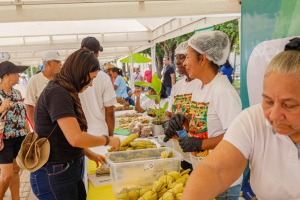 Mercado regional campesino