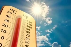 Altas temperaturas 