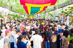 Festival del Patacón