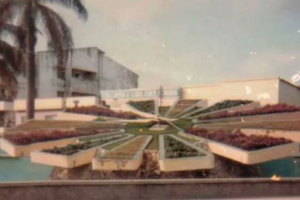 Reloj Floral de los 60 en Cartagena 