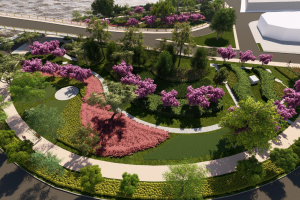Sembrarán 300 mil árboles en Cartagena/16 de enero del 2025/ Cartagena