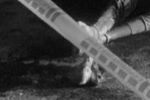 Referencia de inspección técnica al cadáver 