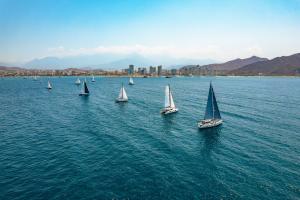 Santa Marta recibe con orgullo a la regata 'World ARC 2025' y sus 33 veleros