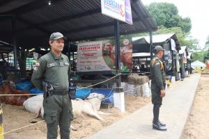 Los operativos se extienden en toda la ciudad 