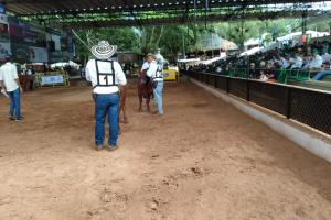 La feria inició ayer 
