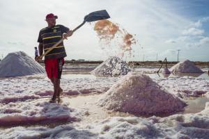 Las salinas de Manaure