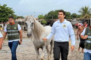Distrito aprehende caballo tras denuncia de maltrato animal en Cartagena 