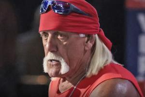 Hulk Hogan, luchador
