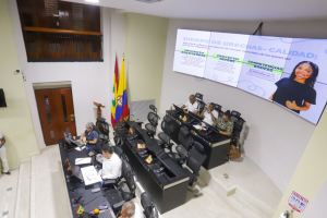 Concejo de Cartagena