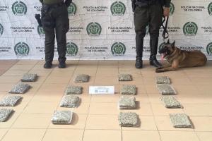 Canino de la Policía en Cartagena ha detectado más de 60 mil dosis de estupefacientes 
