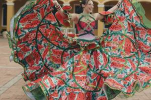 Michelle Char vestido de patilla 