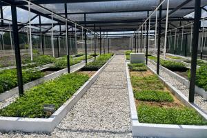 Colegio en Ciénaga recibe megavivero y centro bioclimático que florece en las manos de los estudiantes