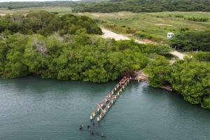 Alcaldía y Dimar desmontan muelle ilegal en la Ciénaga de los Vásquez, en Barú