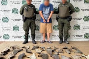 Policía de Cartagena capturó a un ciudadano chino con cargamento ilegal de aletas de tiburón 