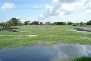  El hallazgo fue en Lorica