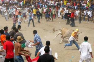 11 heridos durante corralejas en Sabanalarga