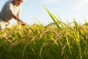 Fotografía no relacionada directamente con los hechos 