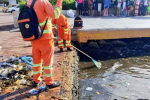 Muelle de Los Pegasos