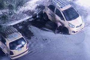 Animalistas piden justicia y capturar al responsable