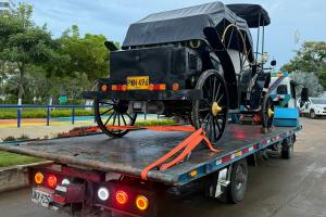 Coches eléctricos inmovilizados en Cartagena.