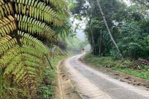 Cierres parciales en la vía a Minca y Santa Marta
