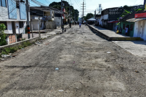 Manzanillo, El Bosque