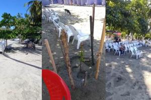 Polémica en El Rodadero entre prestadores turísticos y la Alcaldía por siembra de árboles en la playa