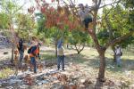 Zonas verdes en Las Gaviotas 