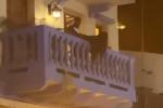 Actos sexuales en balcón de Cartagena