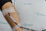 Donantes de sangre 