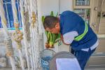 Casos de dengue Cartagena 2025