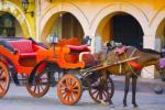 Imagen de referencia caballos en el Centro Histórico de Cartagena
