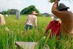 Agricultores apoyarán el paro nacional. 