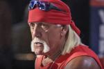 Hulk Hogan, luchador