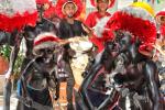 Son de Negro 