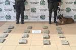 Canino de la Policía en Cartagena ha detectado más de 60 mil dosis de estupefacientes 