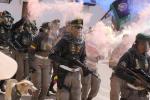 Desfile 20 de Julio 2025 en Cartagena
