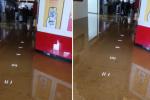 Hurto en joyería Éxito Cartagena