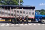Incautan camión con madera ilegal en la vía Sincelejo - Calamar 