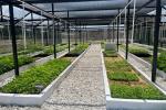 Colegio en Ciénaga recibe megavivero y centro bioclimático que florece en las manos de los estudiantes