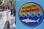 Fuerte oleaje sorprende a empleados y turistas en el Acuario de Santa Marta