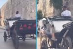 Coches eléctricos reemplazarán a los de caballos en Cartagena