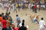 11 heridos durante corralejas en Sabanalarga
