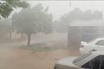 Lluvias con vientos fuertes.