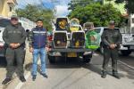 Guacamayas y monos fueron rescatados en Barranquilla durante operativo
