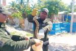 Encuentran boa de un metro de largo en el techo de una vivienda en la zona insular de Cartagena Nov 21