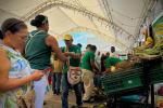 Mercado campesino en Cartagena 