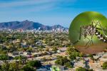 Aumentan más del 50% los casos de dengue en Santa Marta y Magdalena