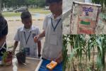 Estudiantes de un colegio en Santa Marta impulsan investigación que transforma huertos escolares en fuentes de energía limpia