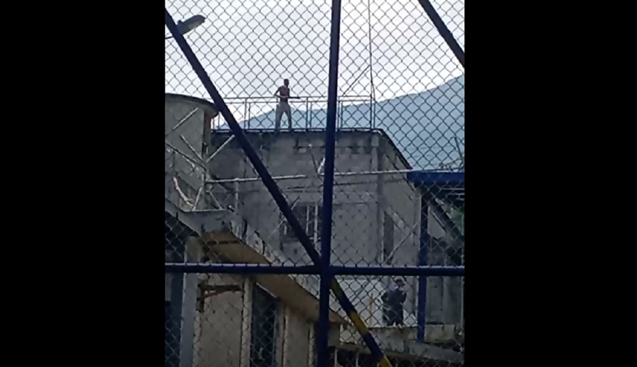 titulo